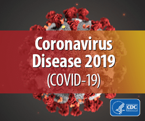 CDC - Centers for Disease Control and Prevention Coronavirus - 300x250