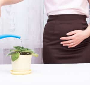 Incontinence Targeting