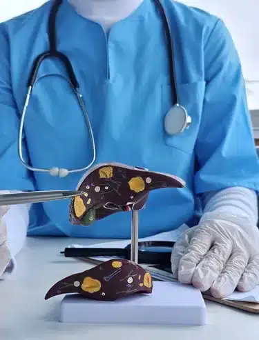 Hepatologists Targeting