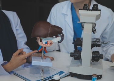 Hepatologists Targeting