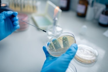 Immunologists Targeting