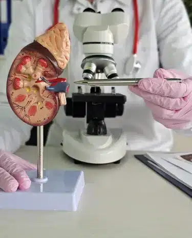 Nephrologists Targeting