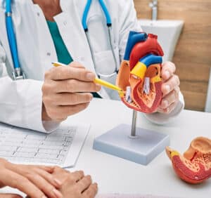 Cardiologists Targeting Cardiologists Targeting | Cardiology | Medical Practice | HCP Targeting | Health Care Professional Targeting