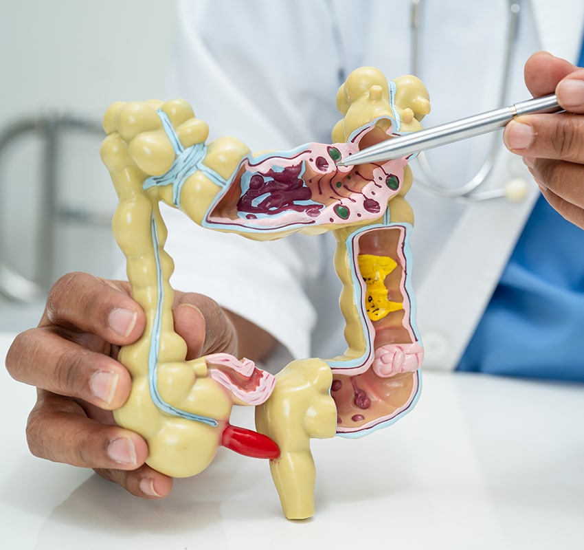 Gastroenterologists Targeting Health Articles