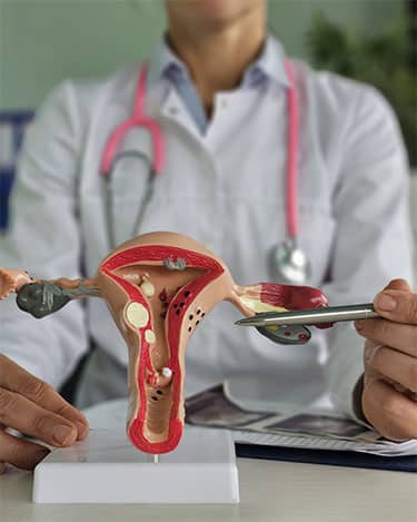 Gynecologist Targeting - Consult