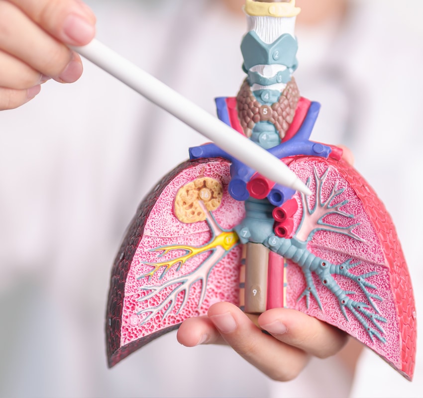 Cystic Fibrosis Targeting Health Articles